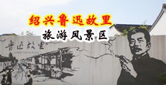 艹湿逼视频中国绍兴-鲁迅故里旅游风景区